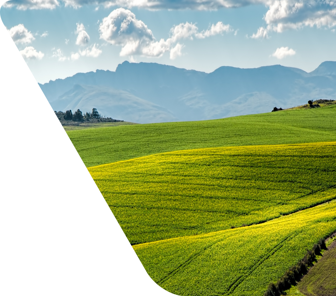 Imagem de um pasto verdejante com montanhas ao fundo